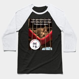 Chinchilla take over the world Baseball T-Shirt